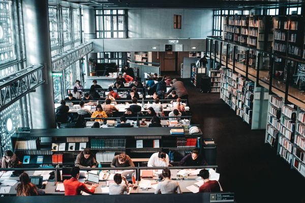 Self Scholarship